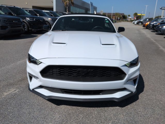 Used 2023 Ford Mustang Premium w/ Equipment Group 201A RWD image 9