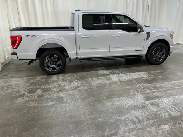 Used 2023 Ford F150 XLT w/ Equipment Group 302A High AWD/4WD image 3