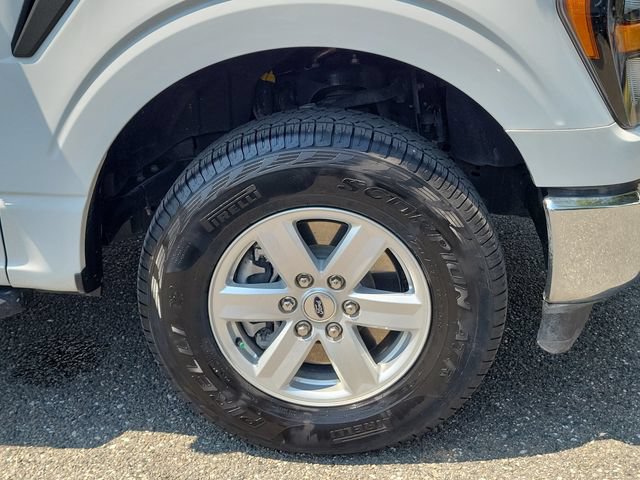 Used 2023 Ford F150 XL w/ XL Chrome Appearance Package AWD/4WD image 6