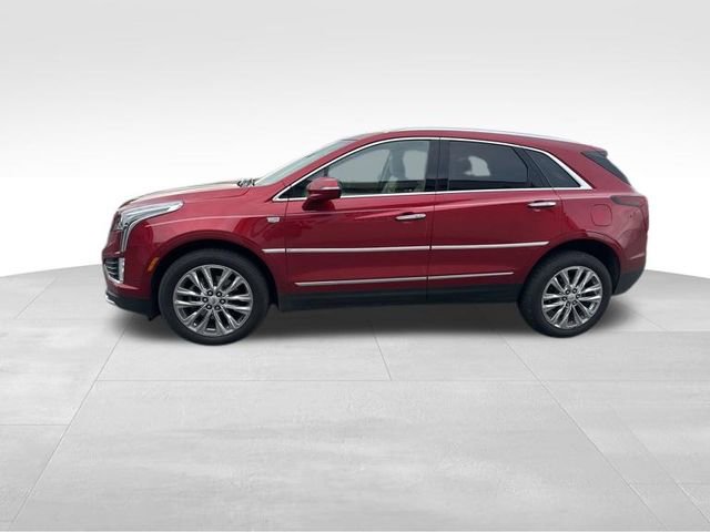 Used 2021 Cadillac XT5 Premium Luxury w/ Platinum Package AWD/4WD image 5