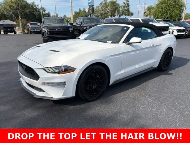 Used 2020 Ford Mustang Premium RWD image 3