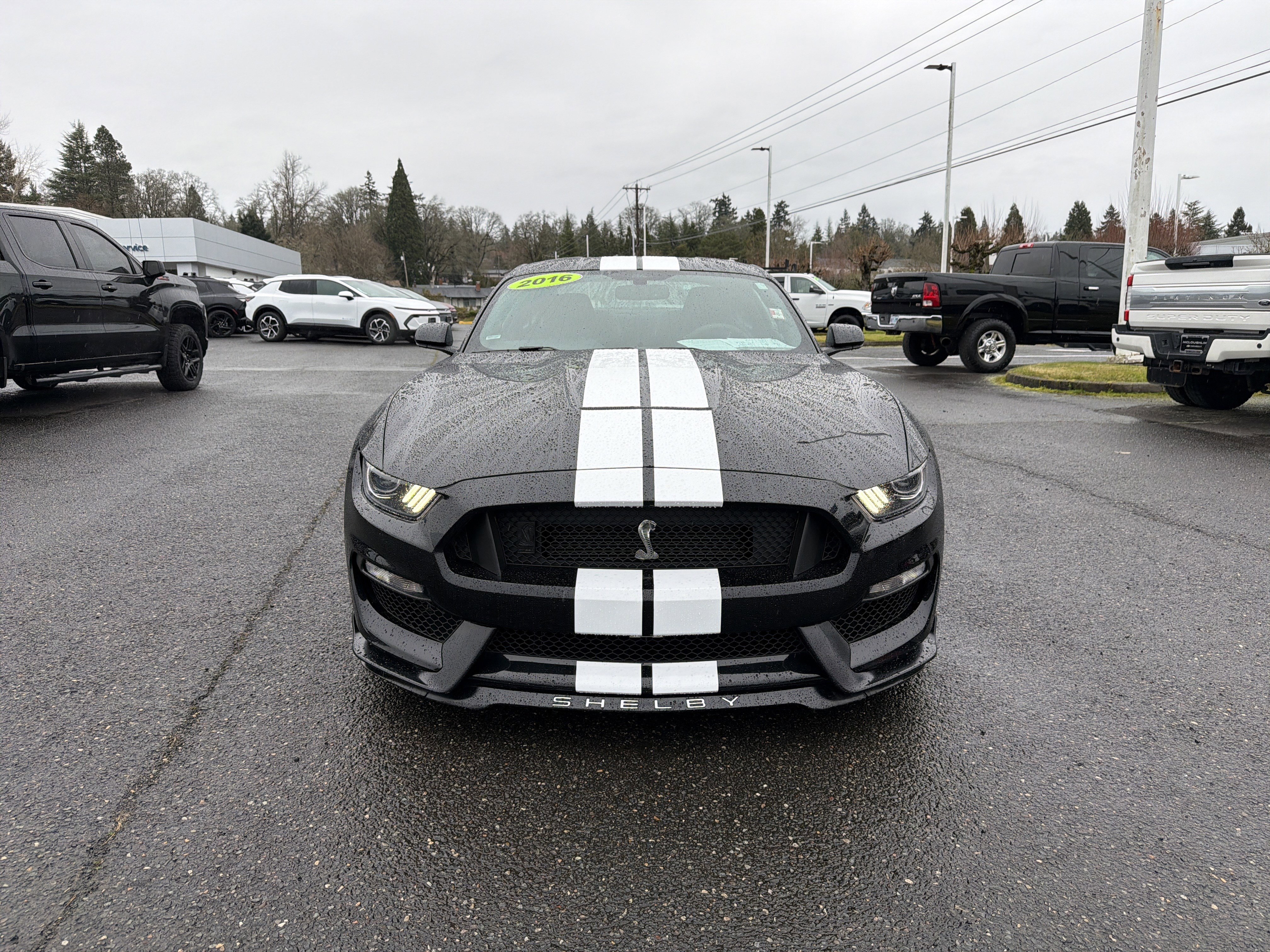 Used 2016 Ford Mustang Shelby GT350 w/ Track Package image 8