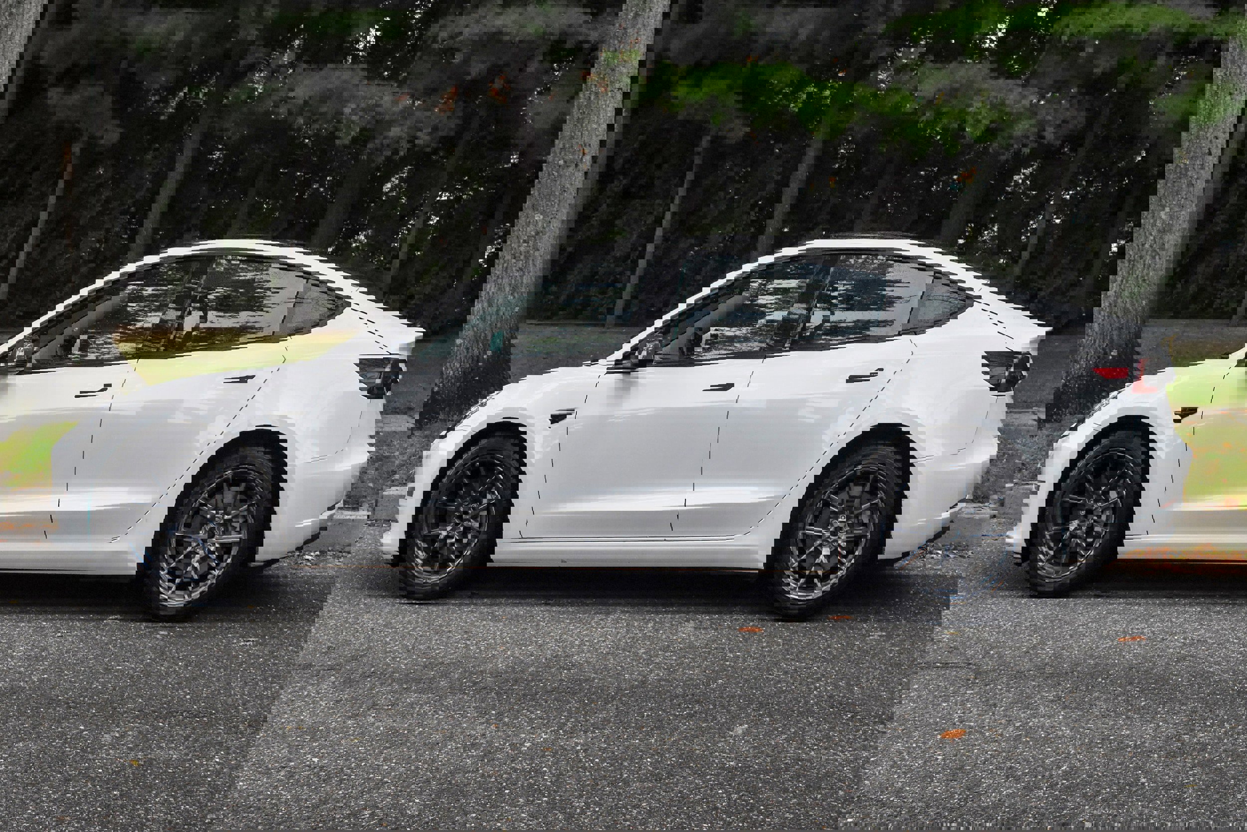 Used 2023 Tesla Model 3 Standard Range image 4