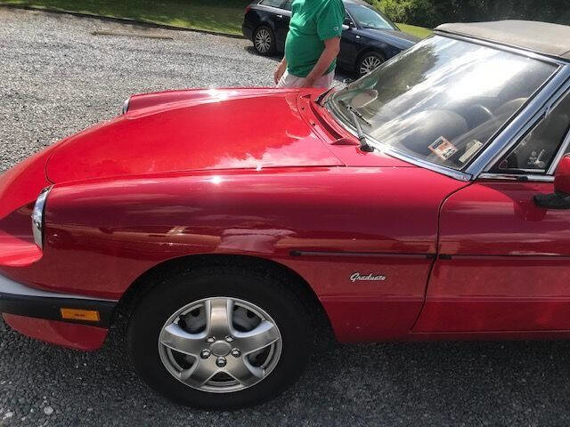 Used 1988 Alfa Romeo Spider Graduate image 19