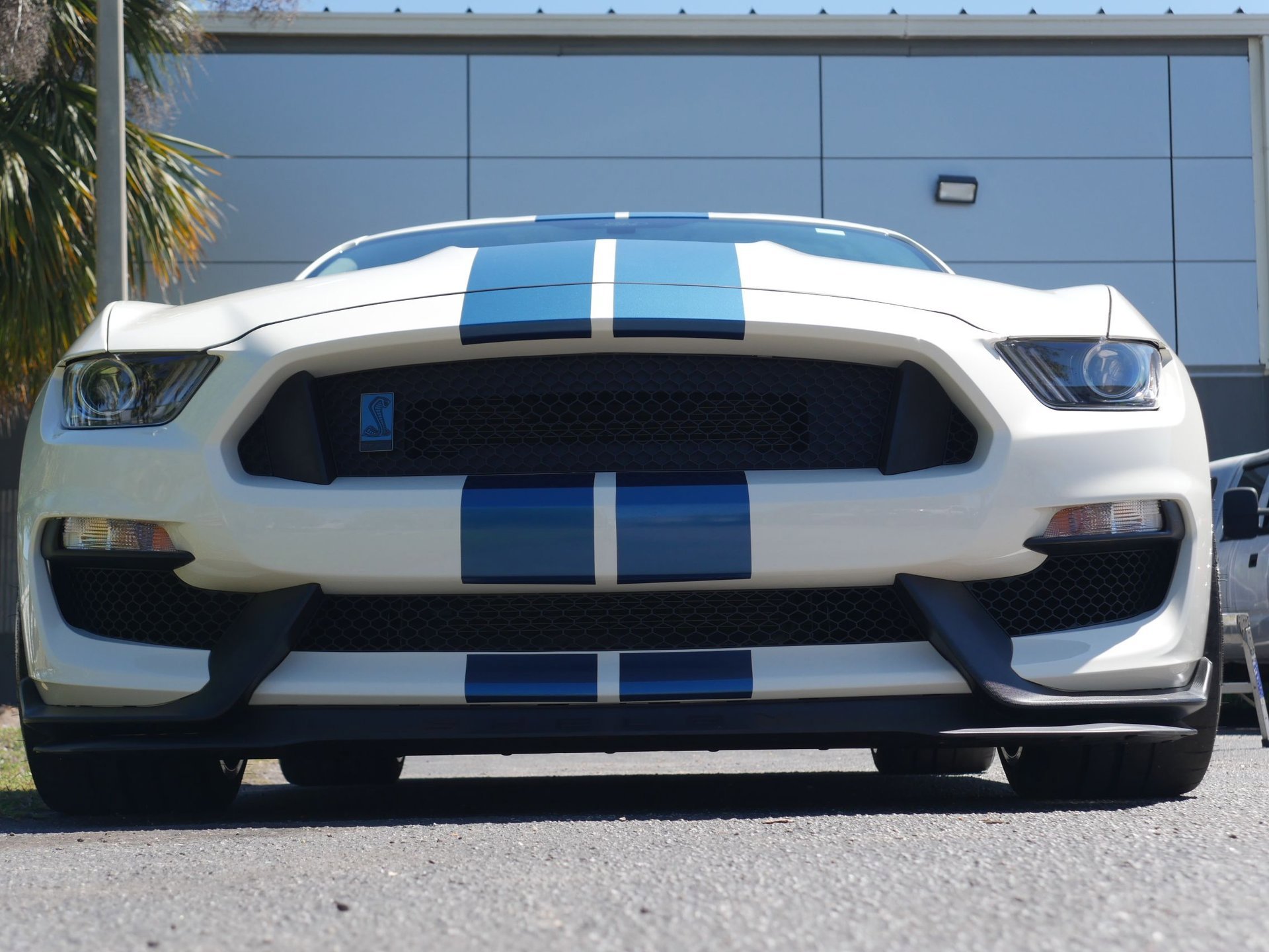 Used 2020 Ford Mustang Shelby GT350R w/ GT350R Equipment Group 920A RWD image 32