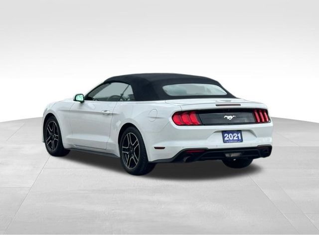 Used 2021 Ford Mustang Premium image 7