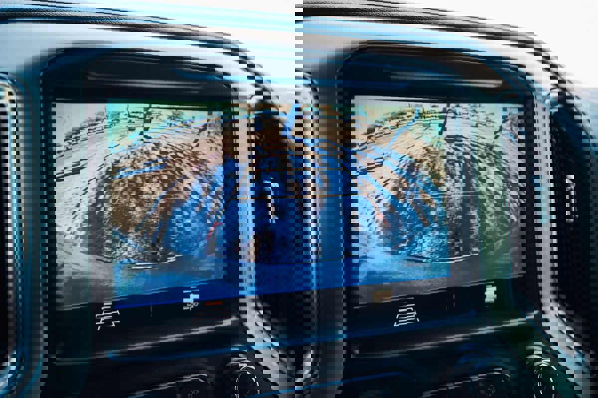 Used 2021 Chevrolet Silverado 1500 LT image 20