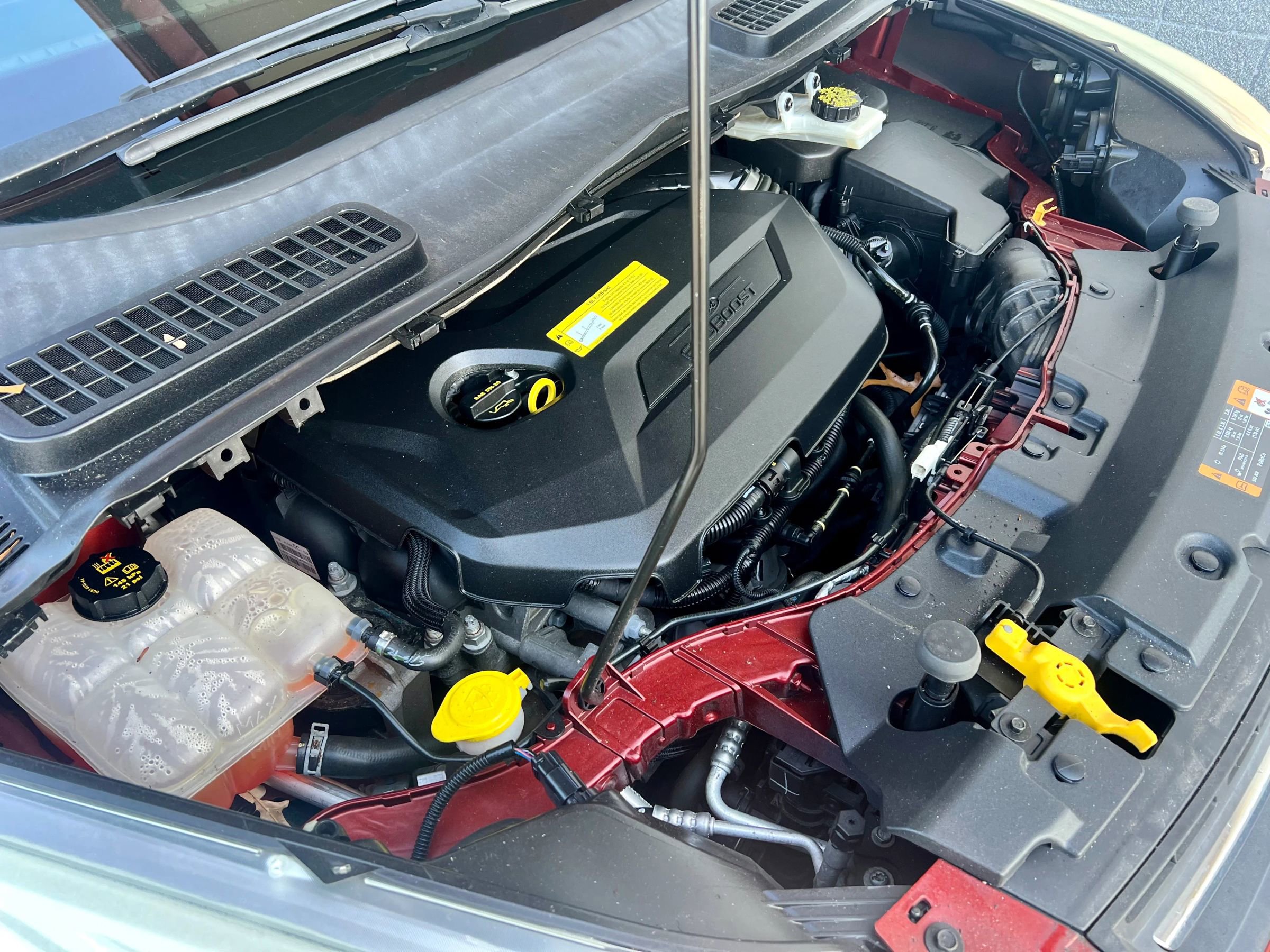 Used 2014 Ford Escape SE image 10