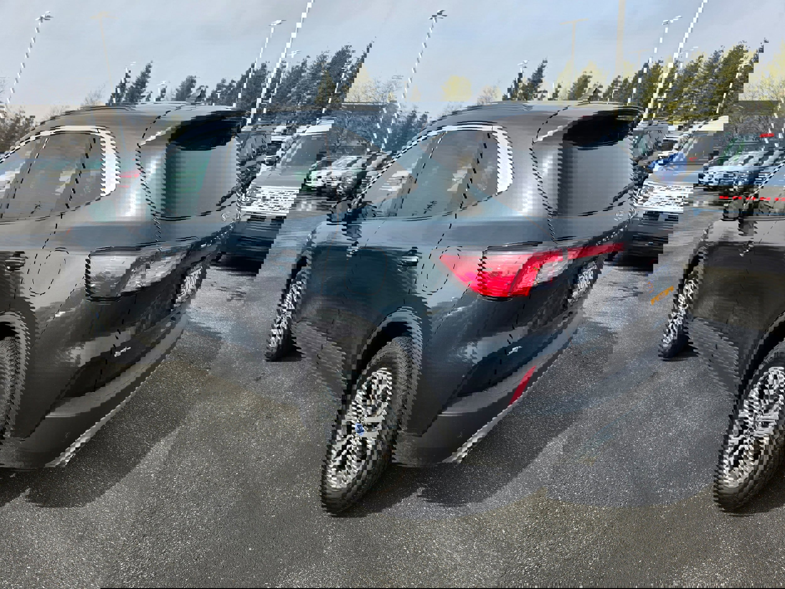 Certified 2022 Ford Escape SEL image 3