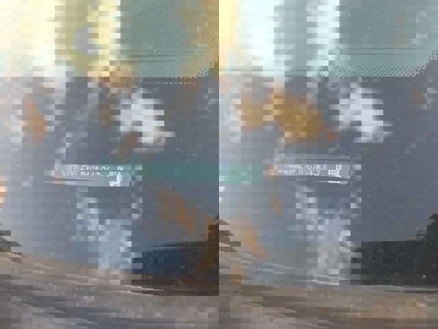 Used 2021 Chevrolet Silverado 1500 W/T w/ WT Value Package image 9