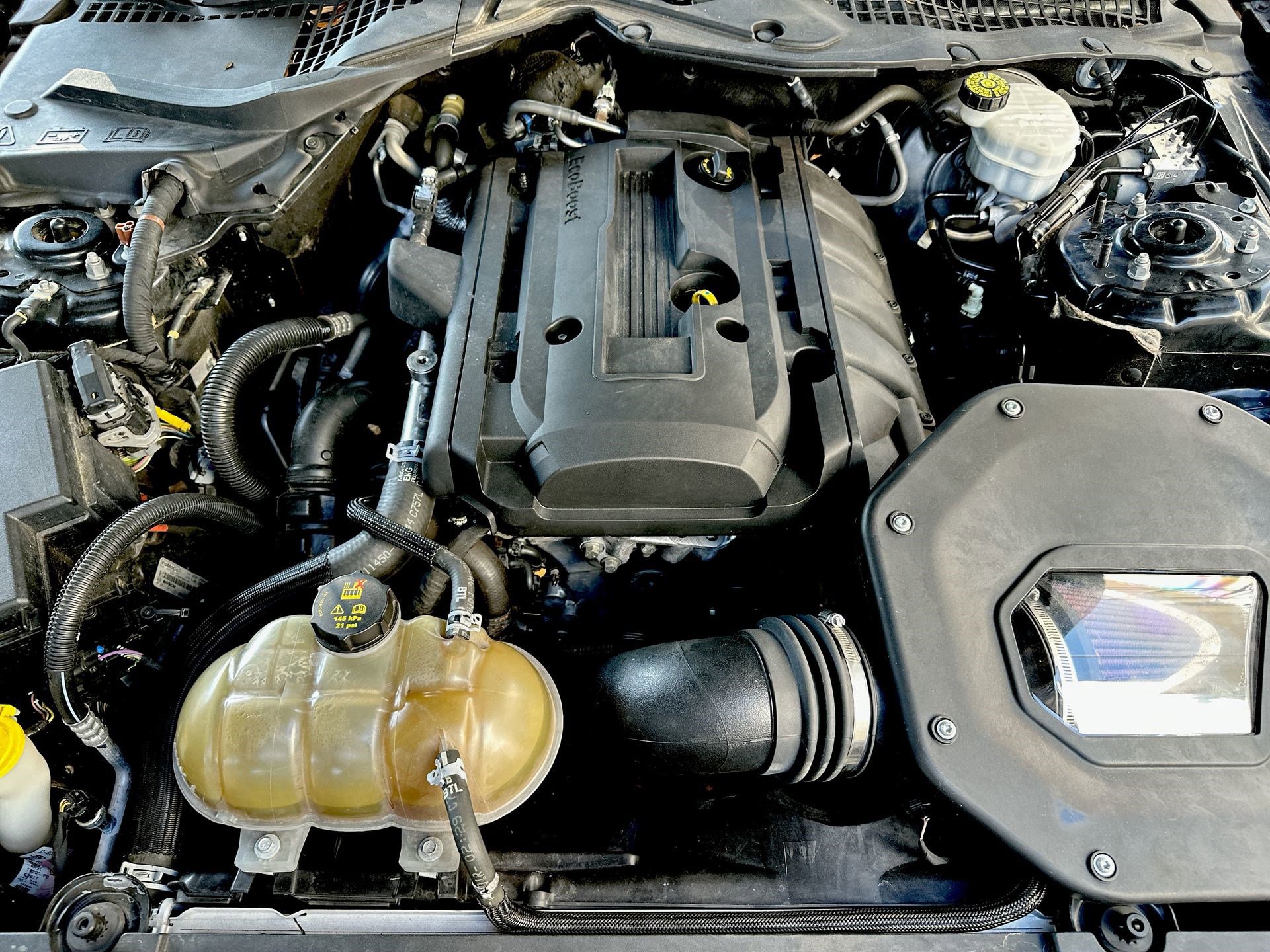 Used 2019 Ford Mustang Coupe w/ Equipment Group 101A image 17