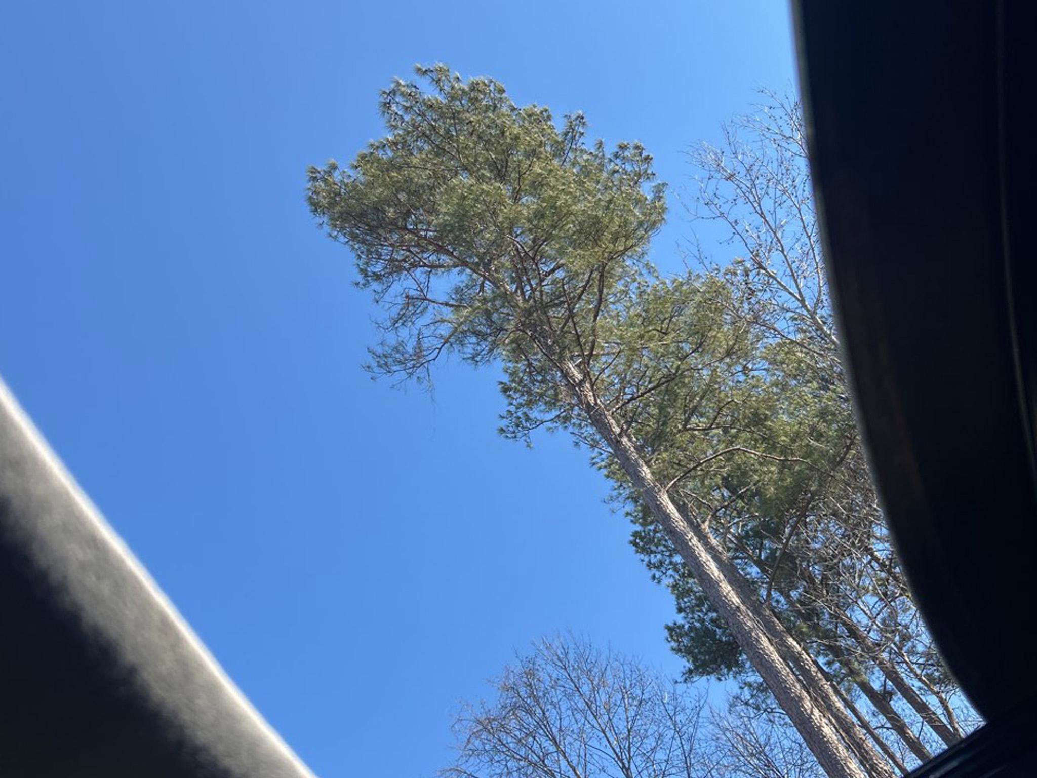 Used 2014 Hyundai Veloster w/ Technology Package 03 image 22