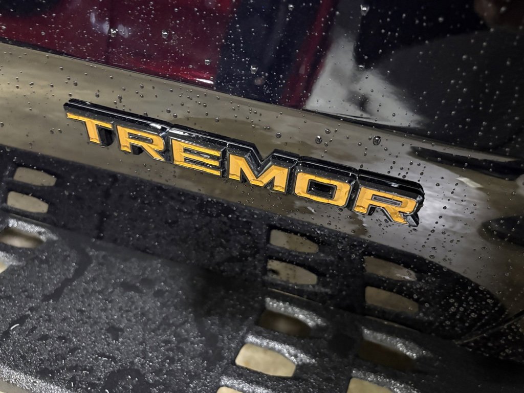 New 2025 Ford Expedition Tremor image 31
