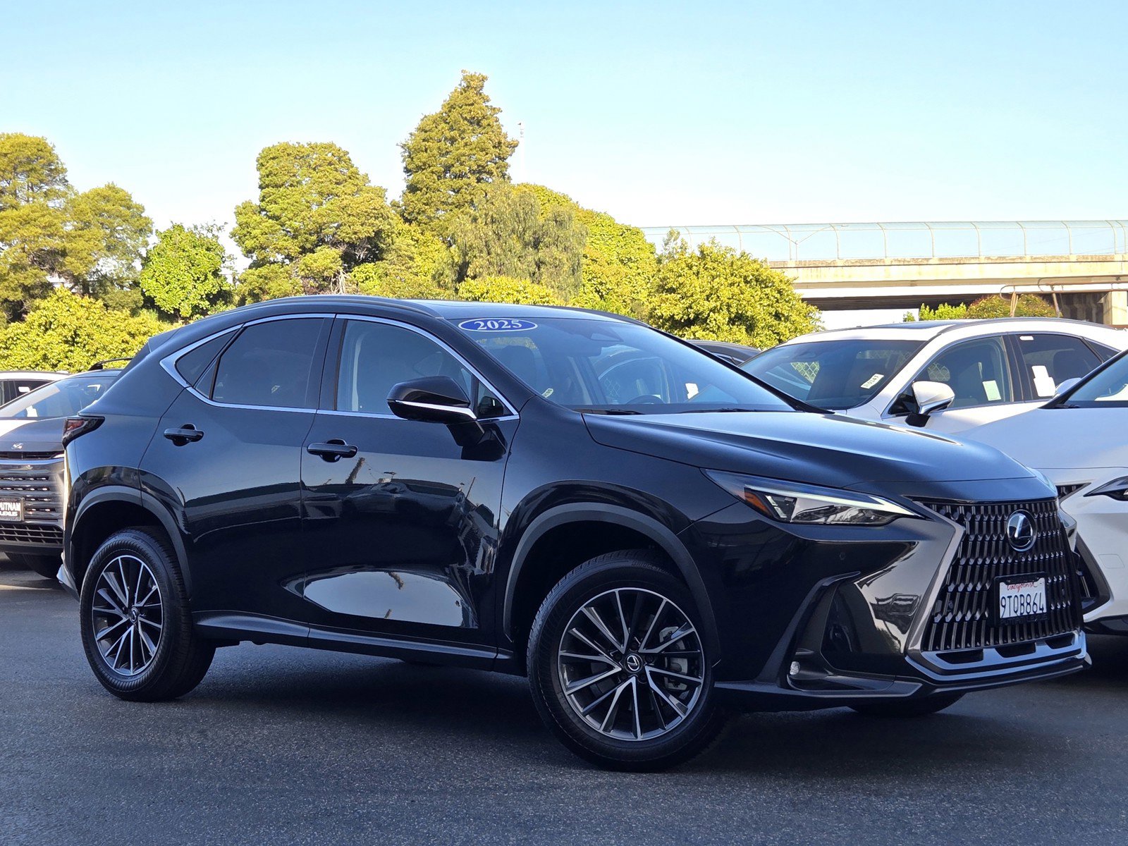 Used 2025 Lexus NX 350h AWD w/ Cold Area Package image 1