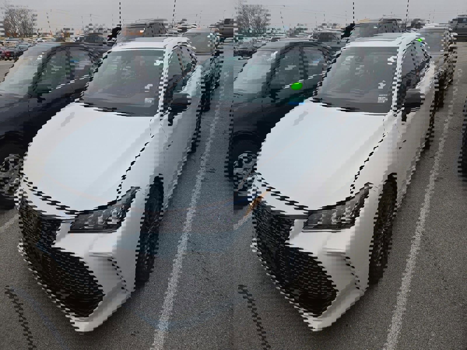 Used 2019 Toyota Avalon XSE