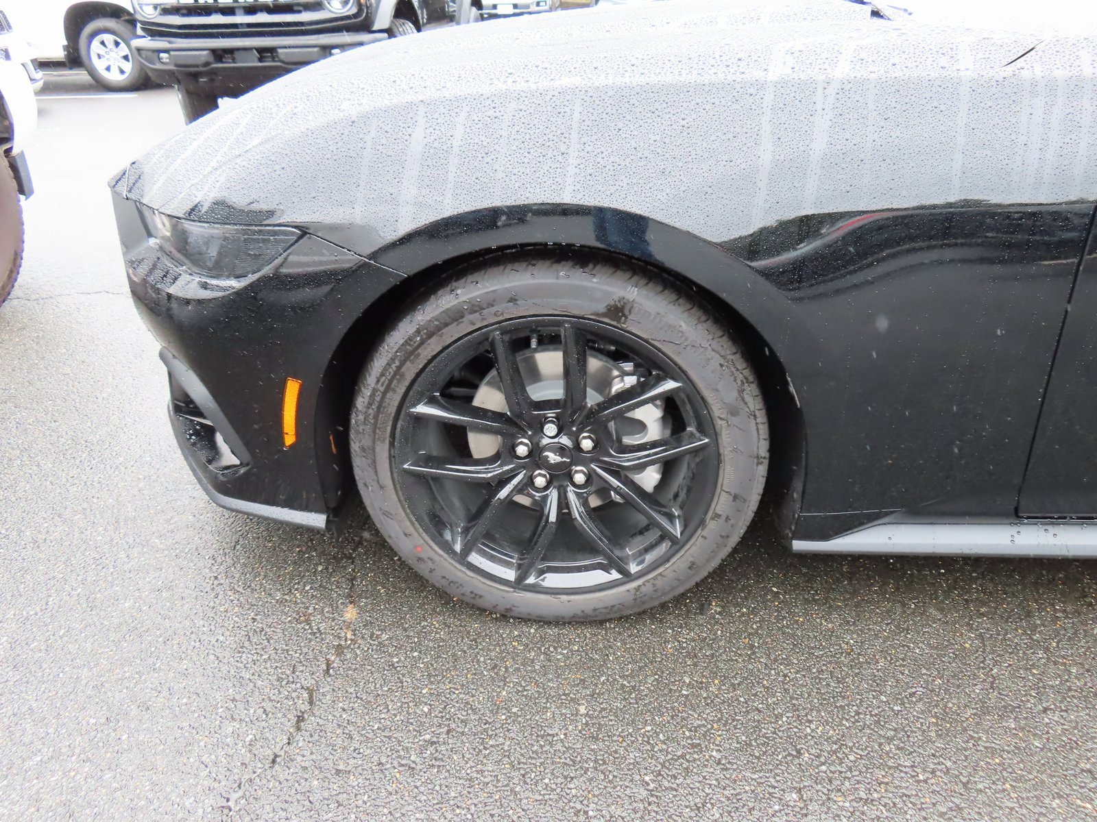 New 2025 Ford Mustang EcoBoost w/ Mustang Nite Pony Package image 7