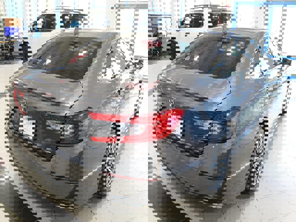 Certified 2019 Honda Accord EX-L image 5