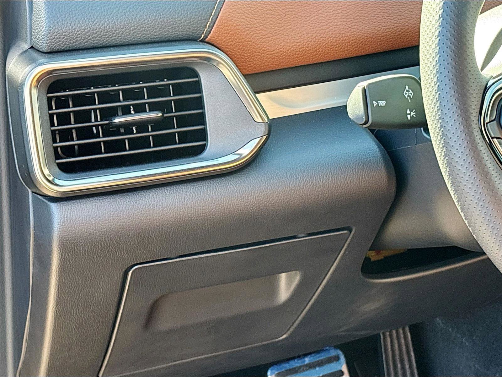 New 2025 VinFast VF 8 Plus image 10