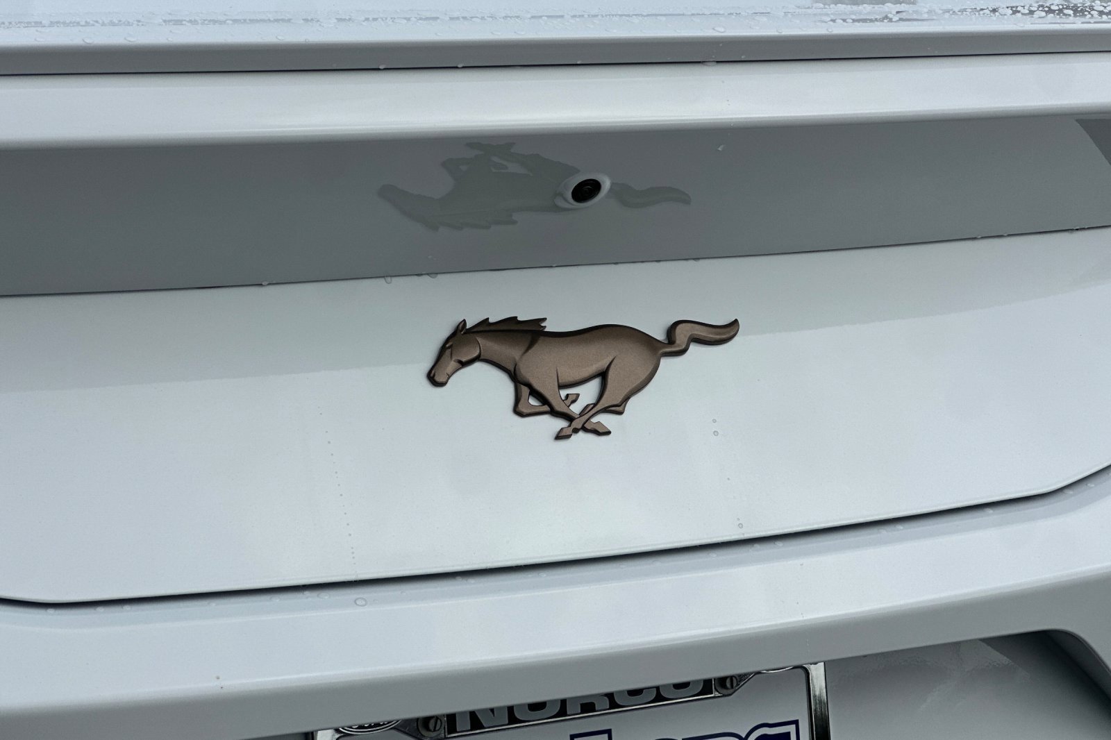 New 2026 Ford Mustang Coupe w/ Bronze Appearance Package image 25