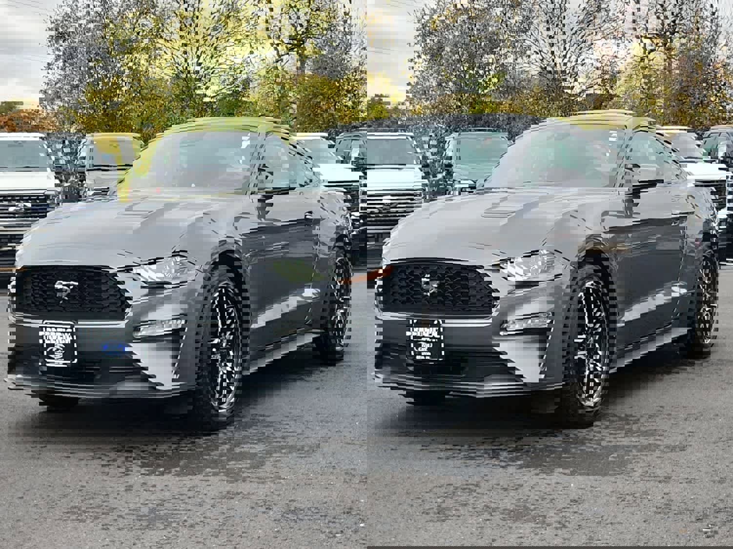 Used 2021 Ford Mustang EcoBoost w/ Equipment Group 101A image 1