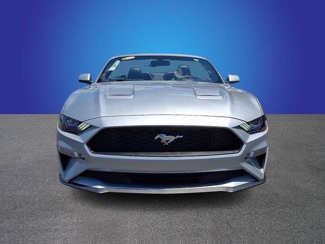 Used 2019 Ford Mustang Premium RWD image 2