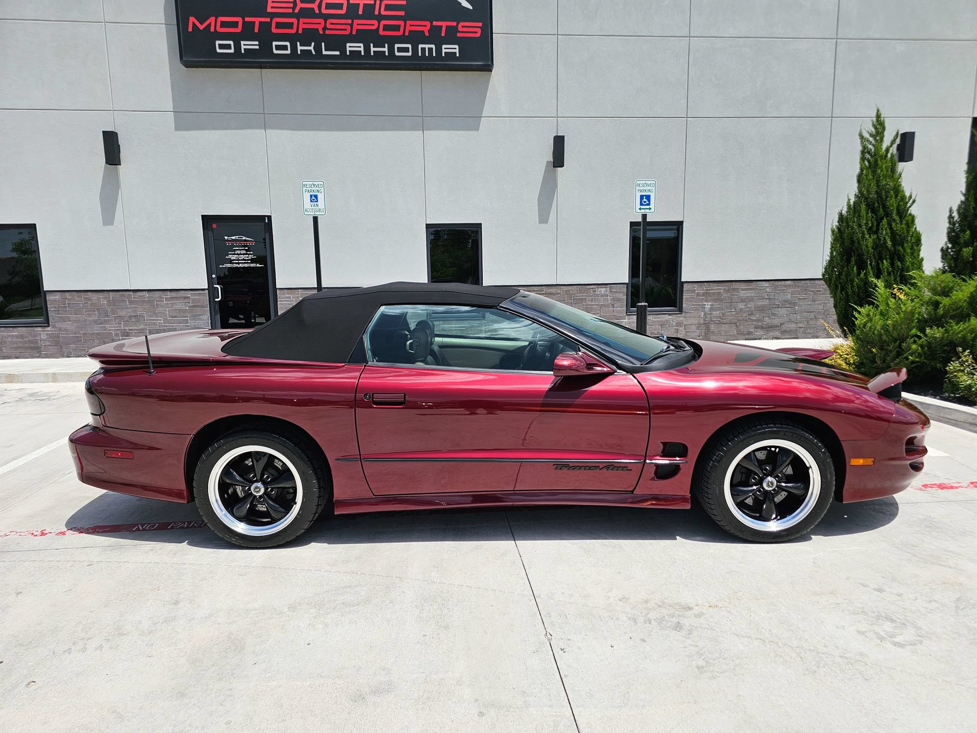 Used 2000 Pontiac Firebird Trans Am RWD image 65