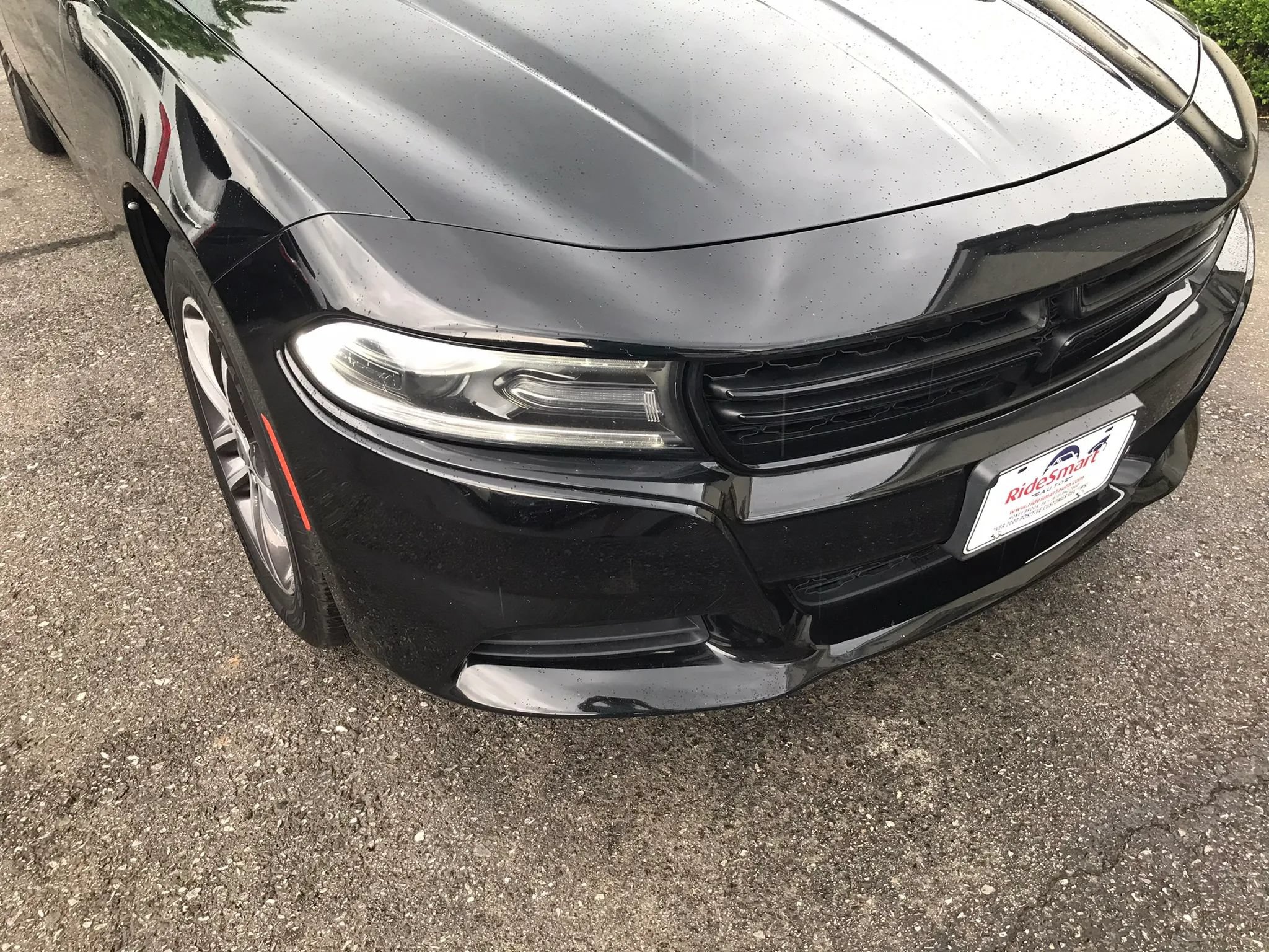 Used 2019 Dodge Charger SXT AWD/4WD image 53