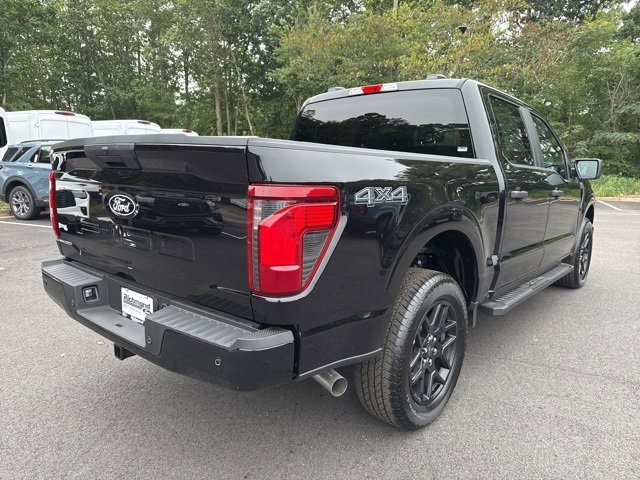New 2025 Ford F150 STX w/ STX Black Appearance Package image 5