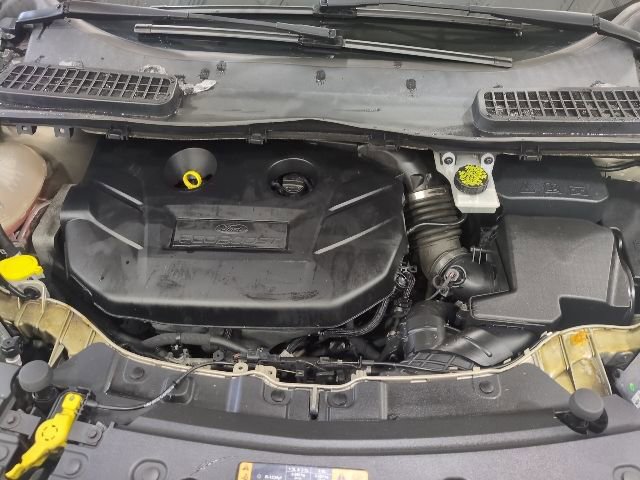 Used 2018 Ford Escape Titanium image 7