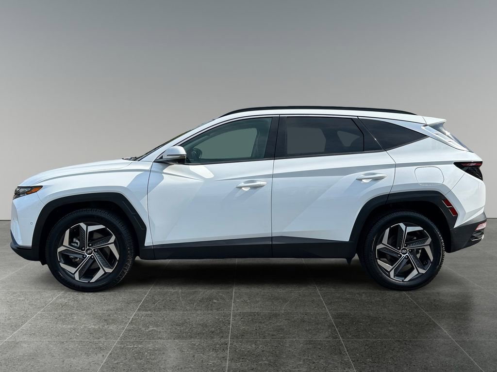 Used 2022 Hyundai Tucson Limited image 4