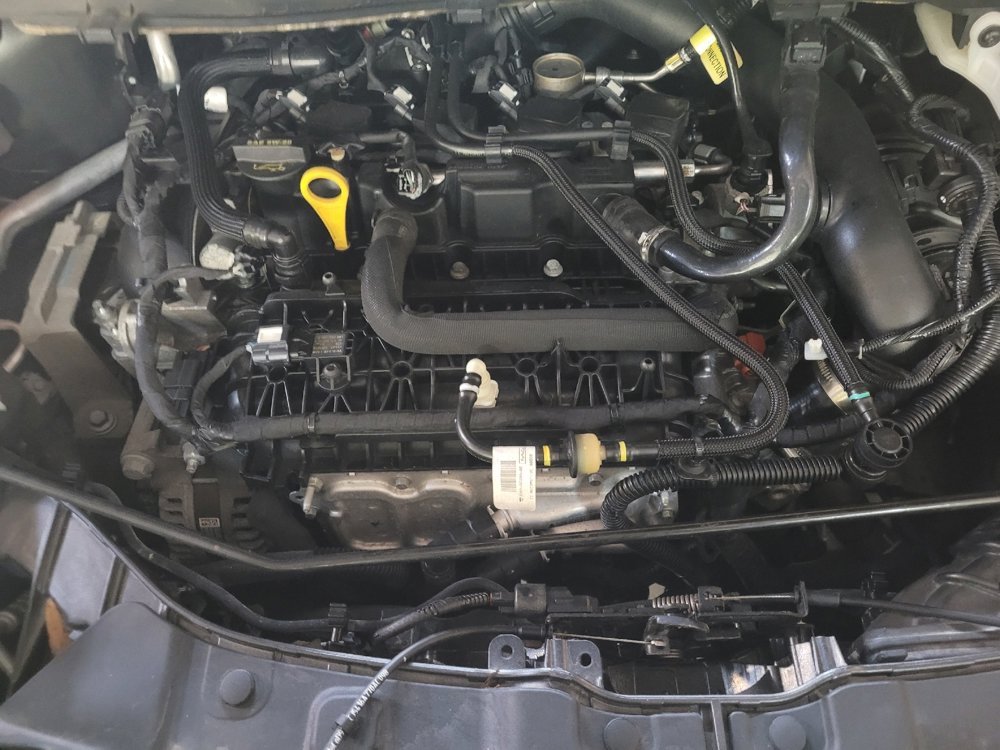 Used 2019 Ford Escape SE image 30