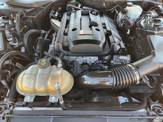 Used 2019 Ford Mustang EcoBoost image 30