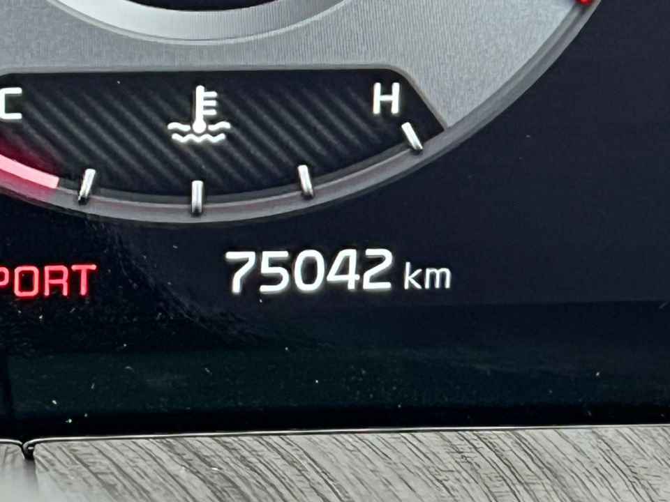 Used 2023 Kia Telluride SX image 8