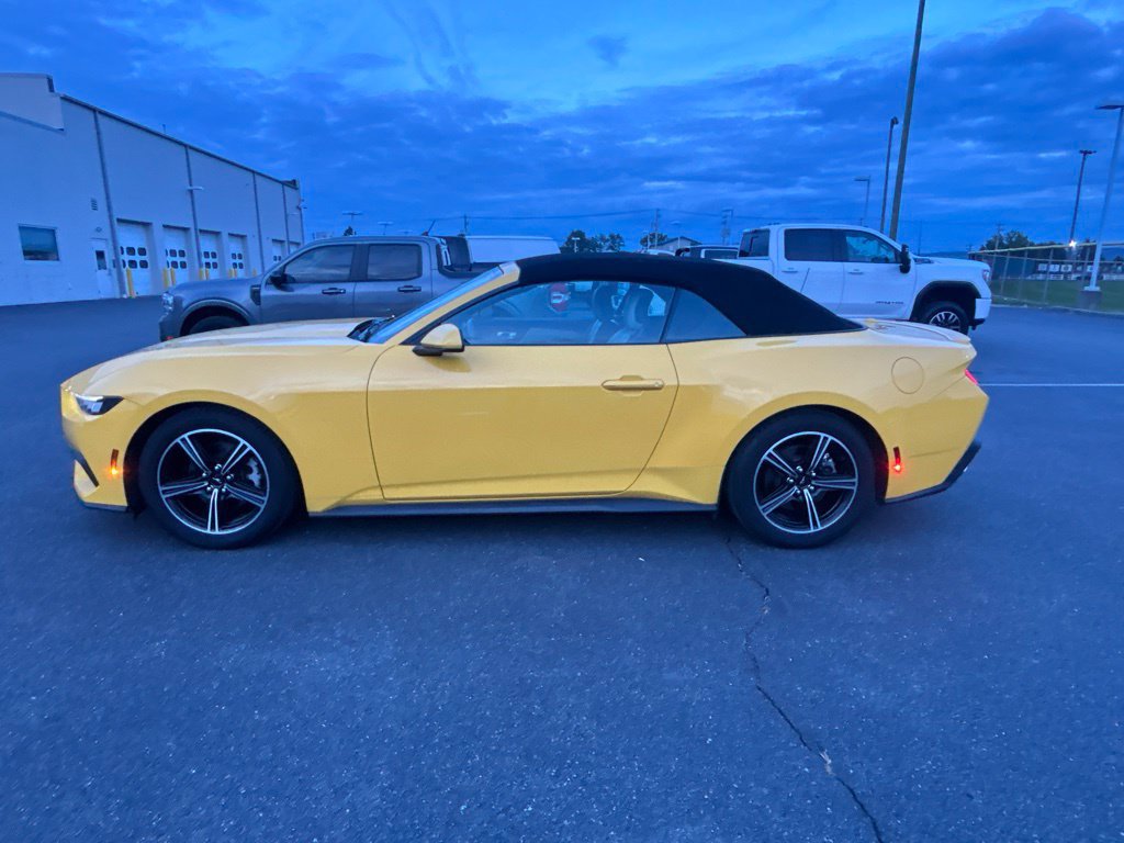 Used 2024 Ford Mustang Premium RWD image 3