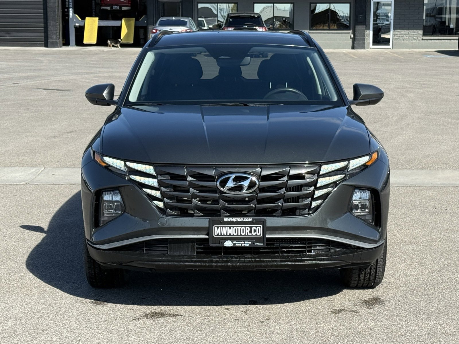 Used 2024 Hyundai Tucson Blue image 2