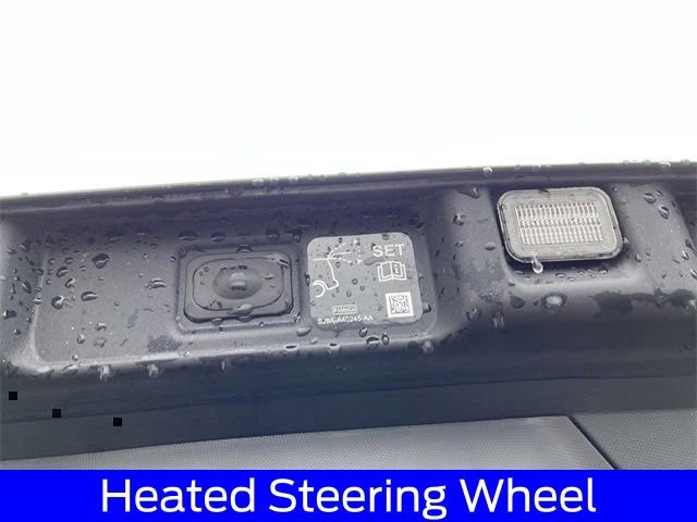 New 2025 Ford Mustang Mach-E GT w/ Interior Protection Package image 34