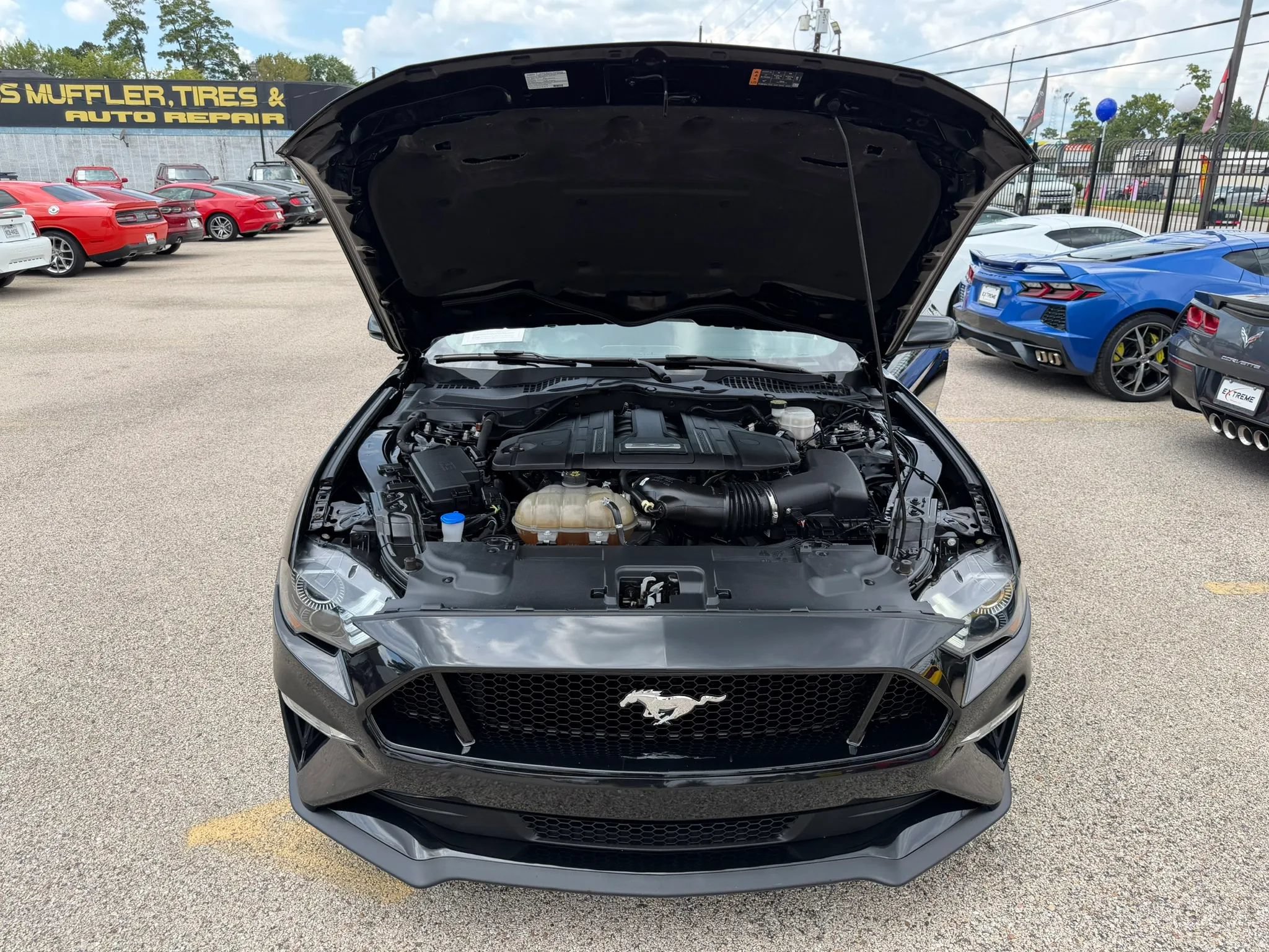 Used 2023 Ford Mustang GT w/ Equipment Group 301A RWD image 36