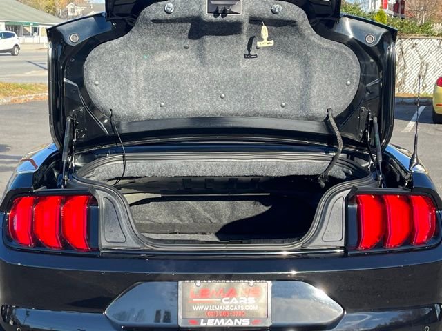 Used 2019 Ford Mustang GT Premium w/ Equipment Group 401A image 18