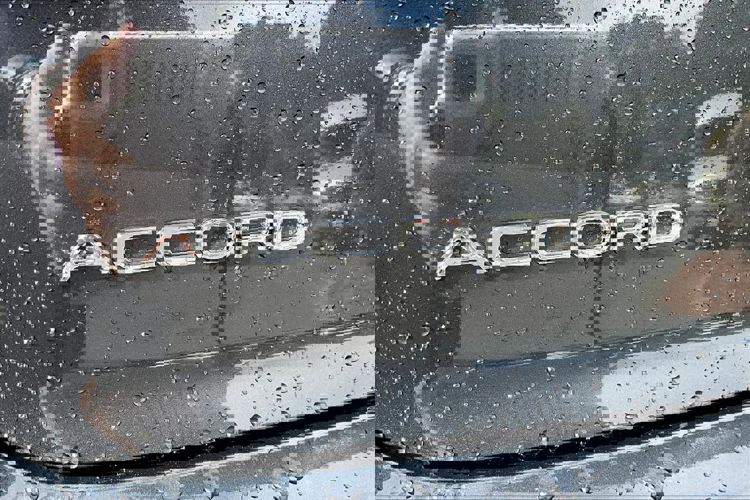 New 2025 Honda Accord SE image 8