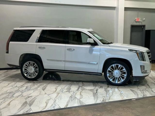 Used 2017 Cadillac Escalade Platinum image 5