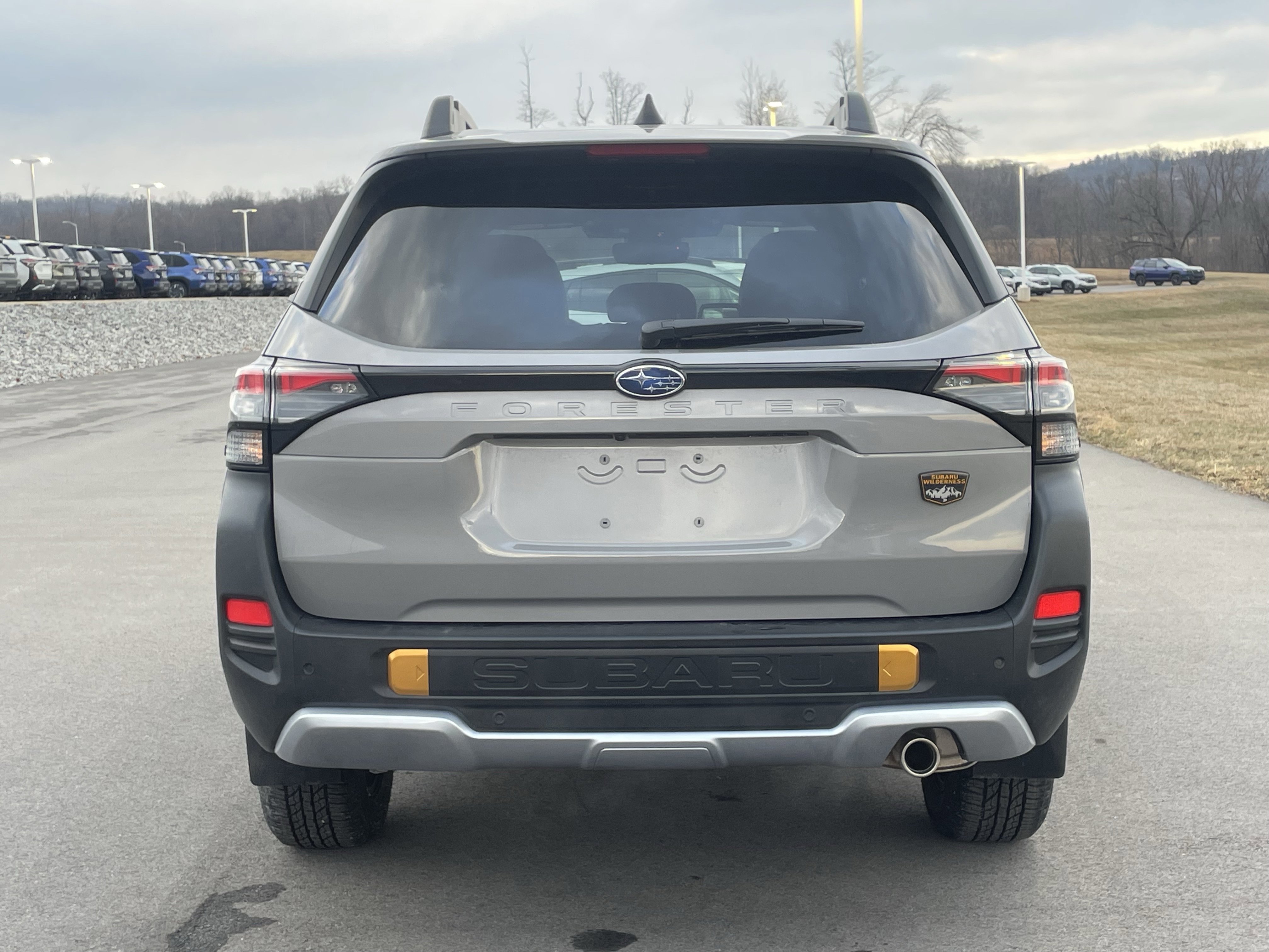 New 2026 Subaru Forester Wilderness image 4