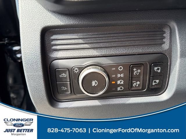 New 2025 Ford F250 Platinum image 19