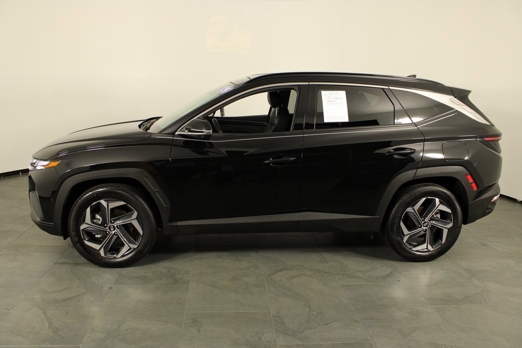 Certified 2024 Hyundai Tucson Limited image 8