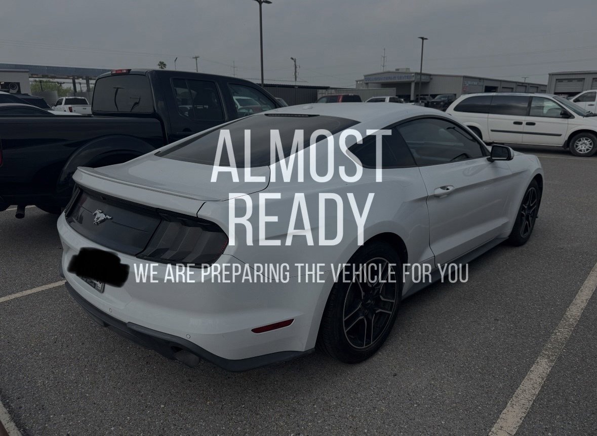 Used 2019 Ford Mustang Coupe w/ Equipment Group 101A RWD image 4