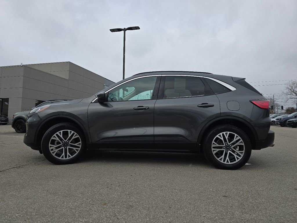 Used 2020 Ford Escape SEL image 10