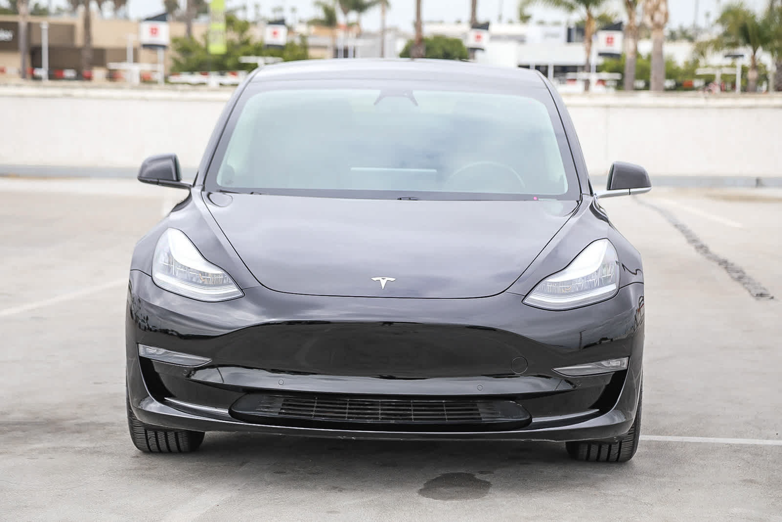 Used 2019 Tesla Model 3 Standard Range Plus RWD image 3