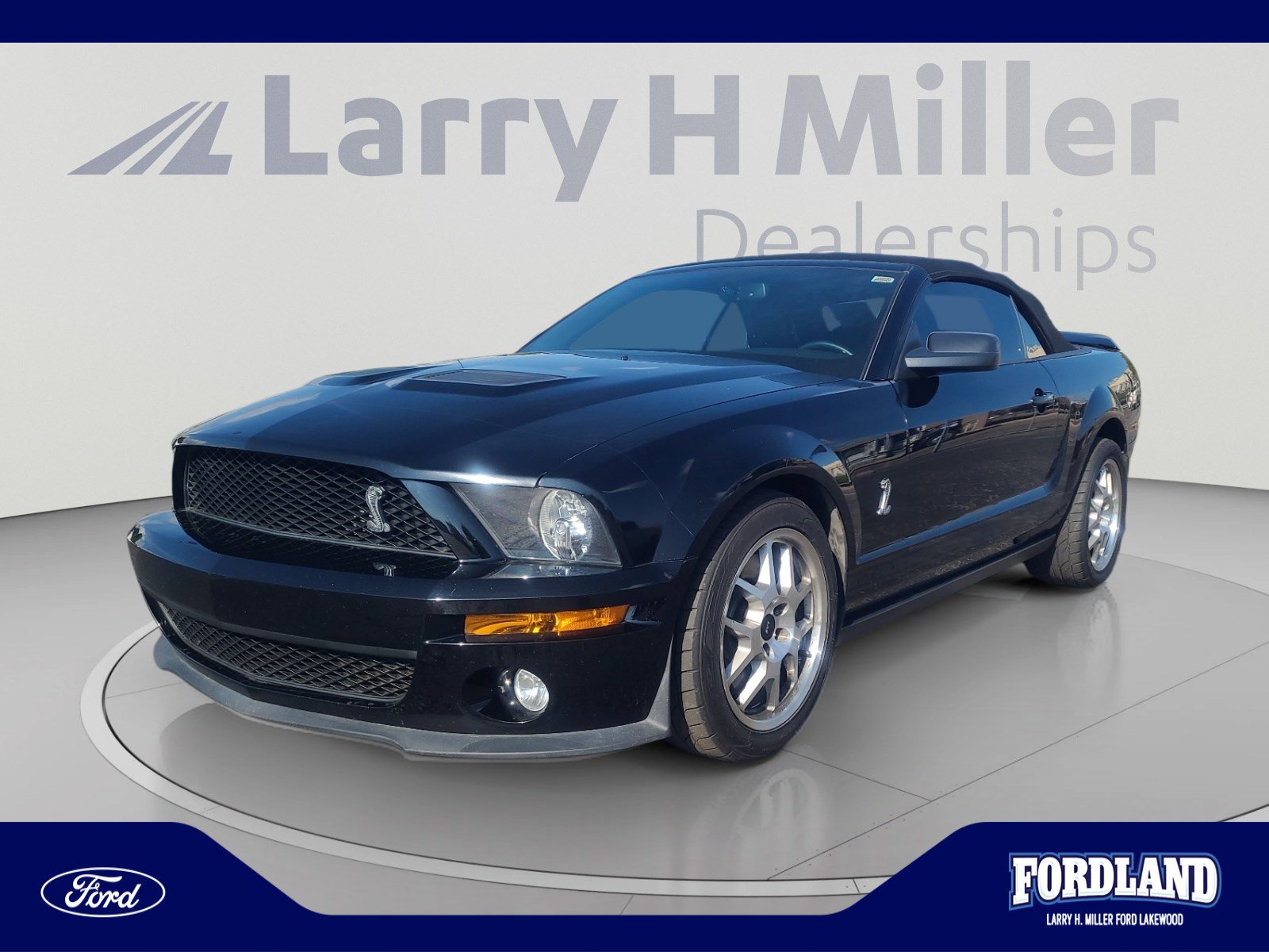 Used 2008 Ford Mustang Shelby GT500 RWD image 1