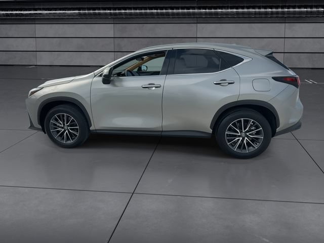 Certified 2025 Lexus NX 250 FWD w/ Cold Area Package image 5