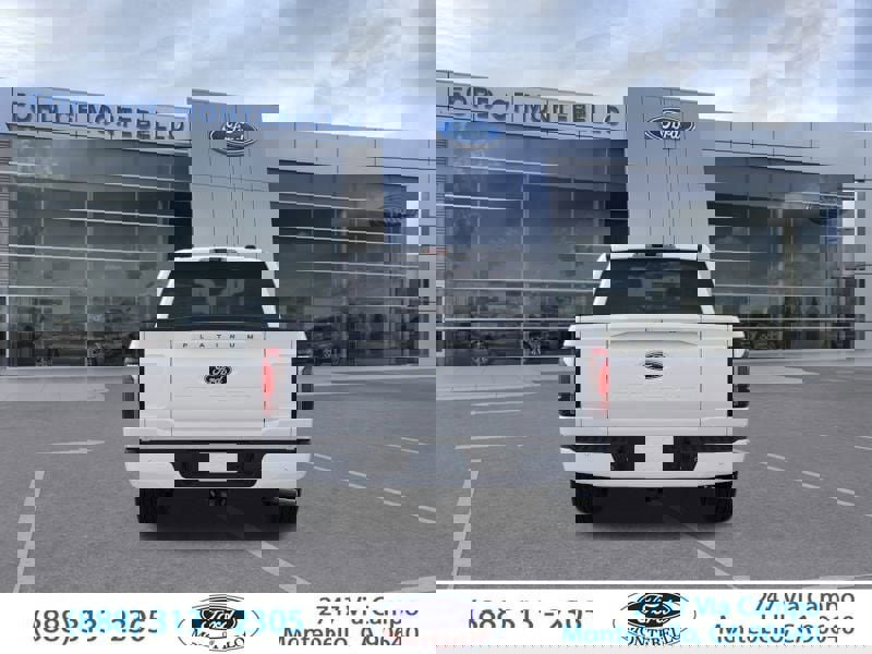 New 2025 Ford F150 Platinum w/ Equipment Group 702A High image 7