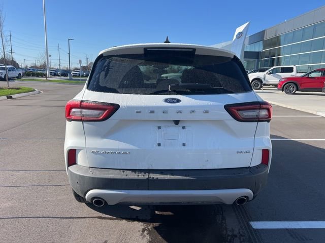 Used 2023 Ford Escape Platinum AWD/4WD image 6